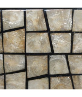 Dettaglio madreperla specchio