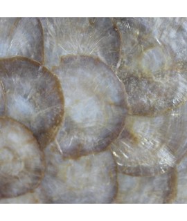 Specchiera in madreperla rettangolare