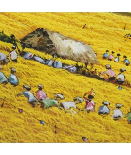 Quadro etnico dettaglio